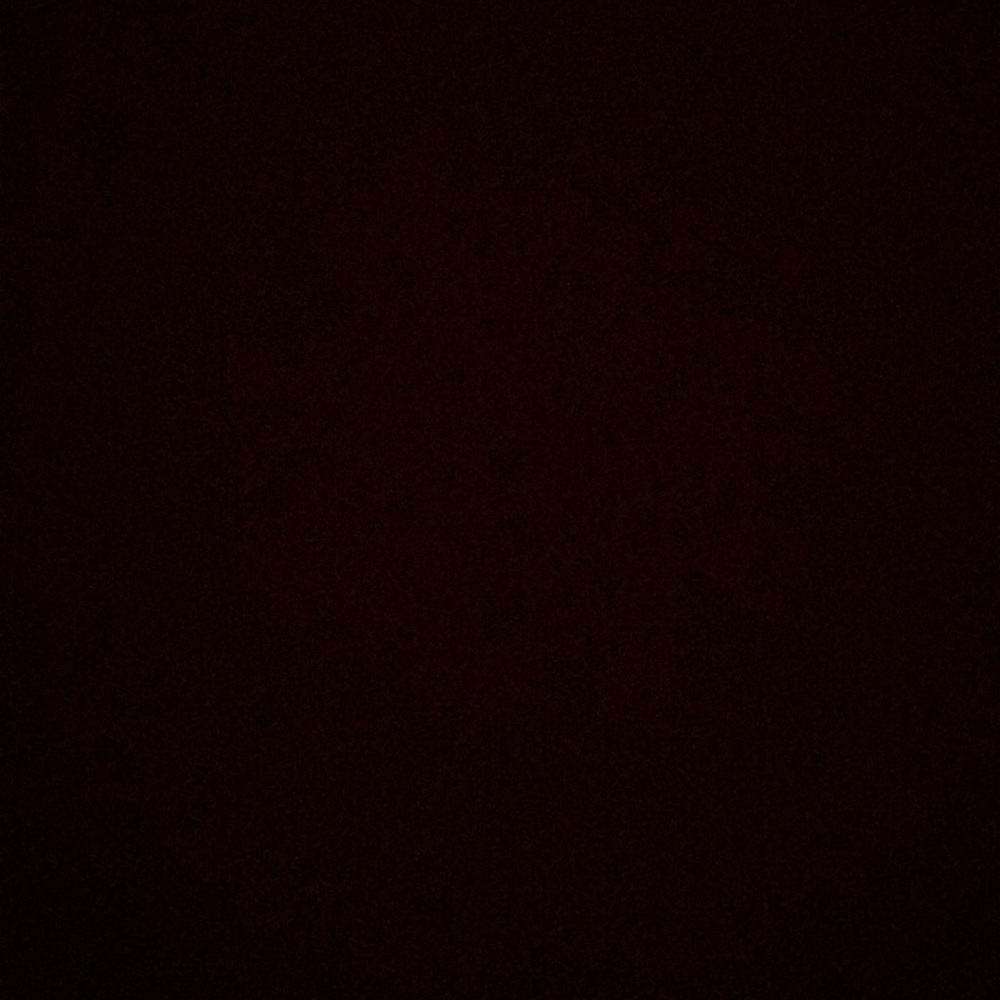 Meet your Posher, Bernice